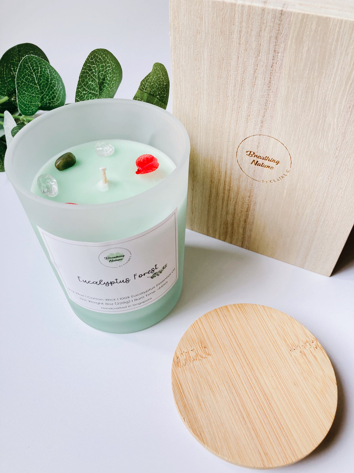 Breathing Nature Eucalyptus Forest Crystal Candle
